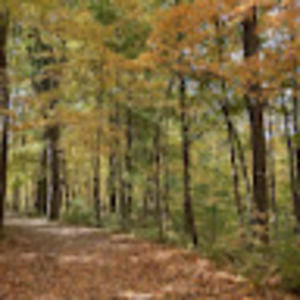 Meet your Posher, Ann